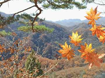 澳門天天六開(kāi)彩免費(fèi)圖，探索彩票世界的奧秘與樂(lè)趣，澳門天天六開(kāi)彩免費(fèi)圖，揭秘彩票世界的神秘樂(lè)趣